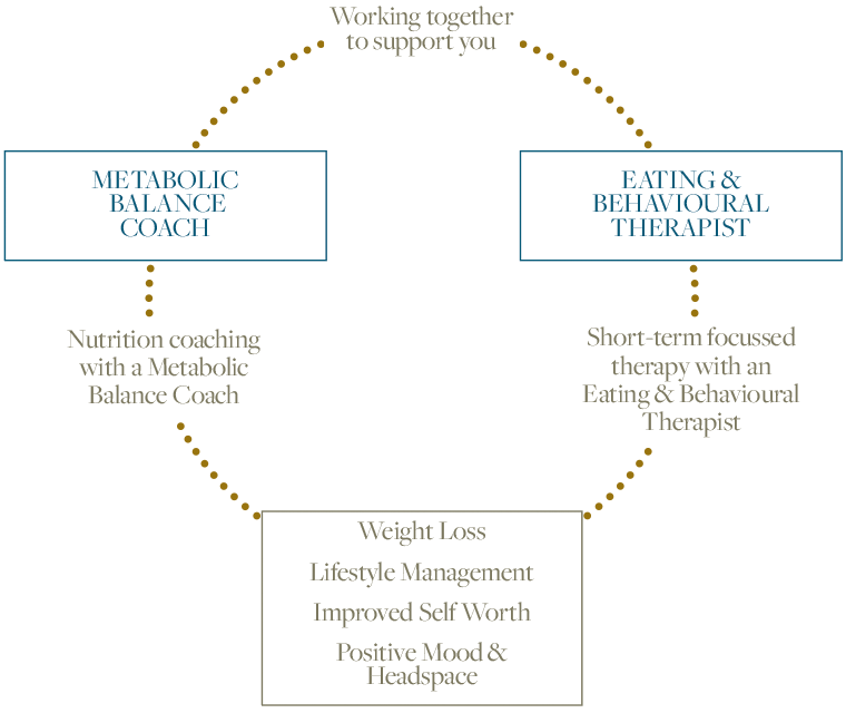 Metabolic balance support